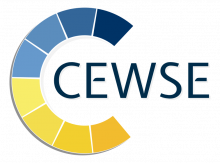 logo Centrum Doskonałości Jeana Monneta (CEWSE)